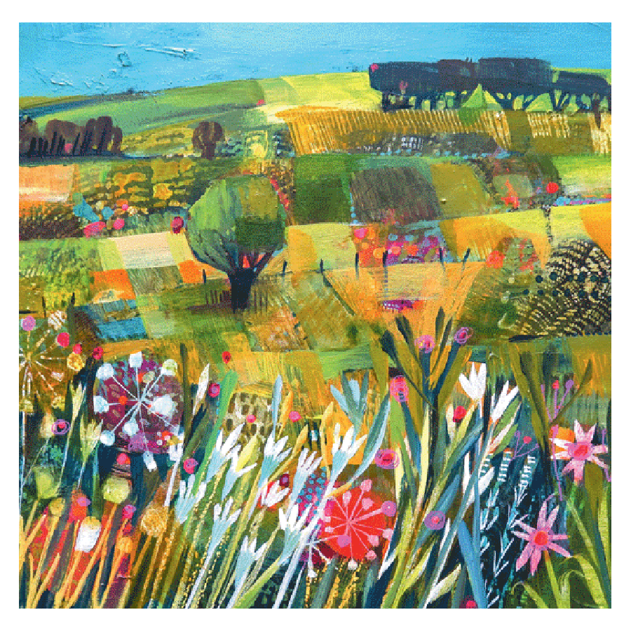 Fields With Blue Skies Greeting Cards