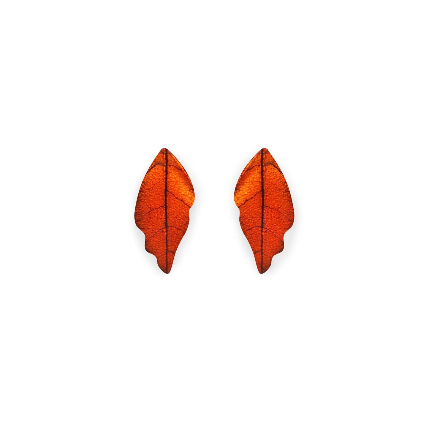 Chilli Skeletal Leaf Shiny Stud Earrings | The Jewellery Stop