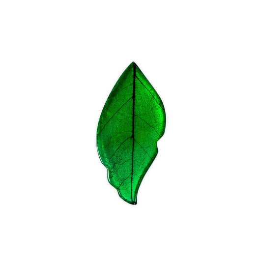 Aurora Skeletal Leaf Shiny Brooch | The Jewellery Stop