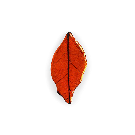 Chilli Skeletal Leaf Shiny Brooch | The Jewellery Stop