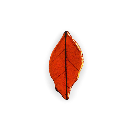 Chilli Skeletal Leaf Shiny Brooch