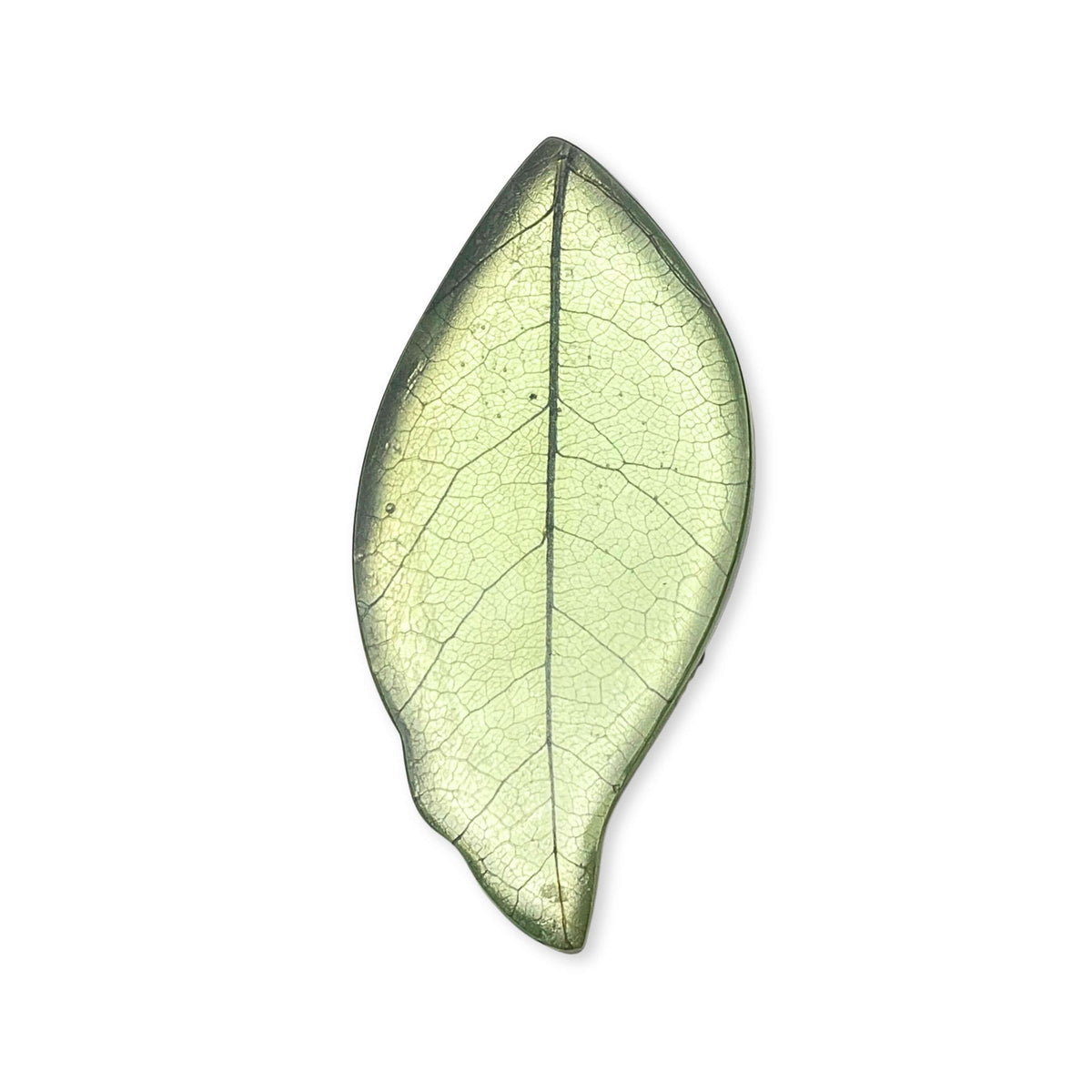 Sherbet Skeletal Leaf Shiny Brooch