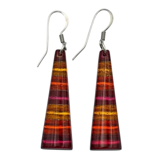 Tropical Triangle Stripes Shiny Fish Hook Earrings