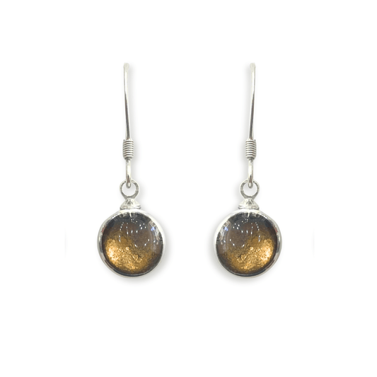 Metallics Aluminium Circles Shiny Fish Hook Earrings