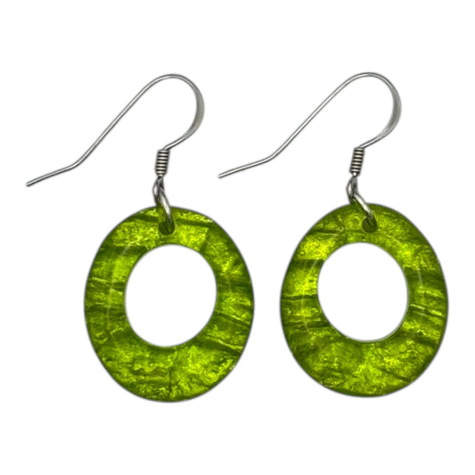 Zest Aztec Hollow Circles Shiny Fish Hook Earrings