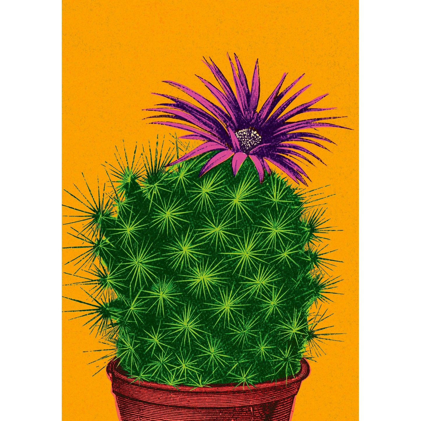 Flowering Cactus Greeting Card | The Jewellery Stop