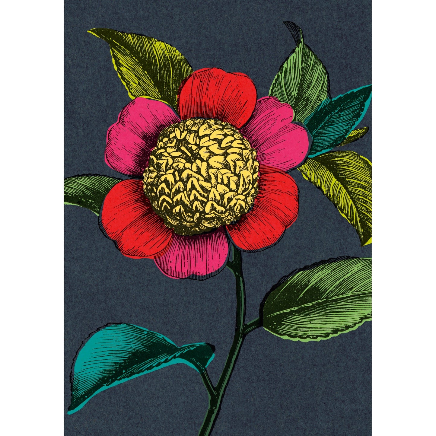 Colourful Camellia Greeting Card | The Jewellery Stop