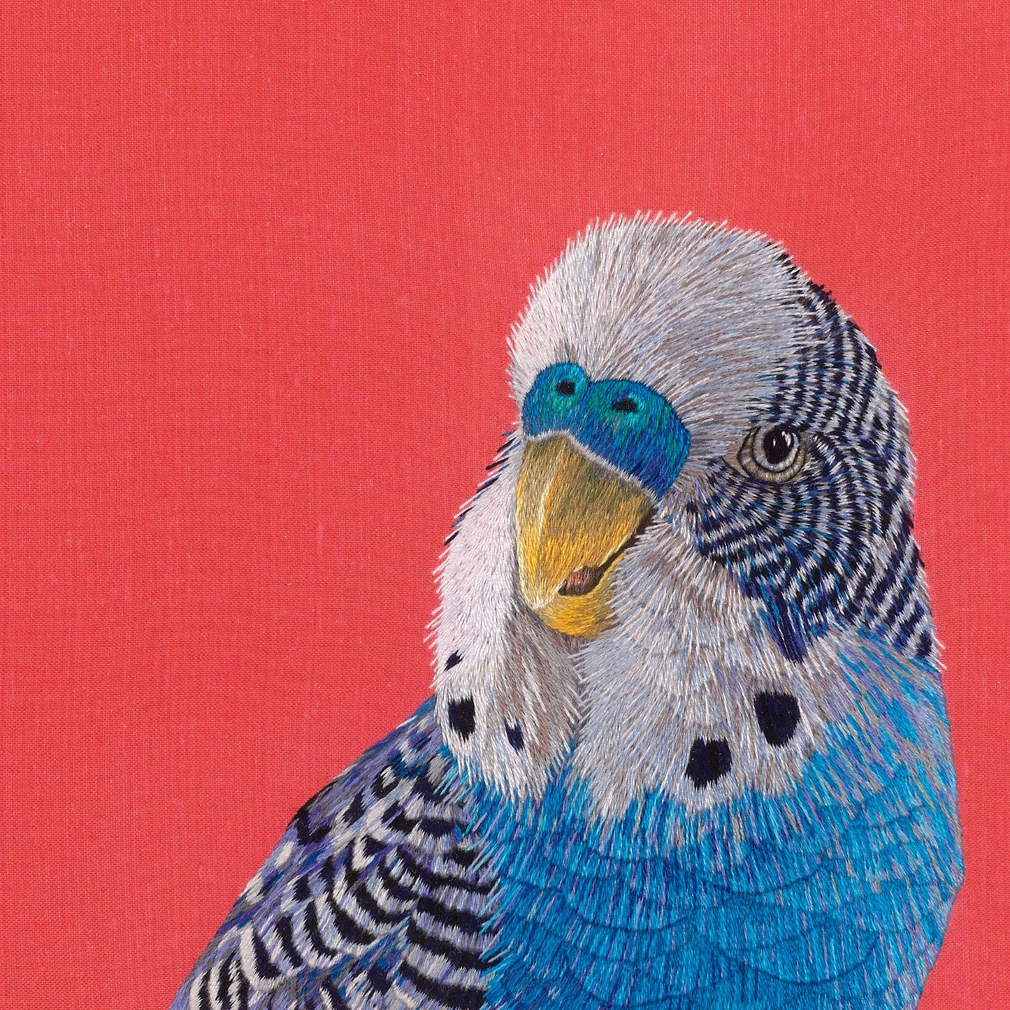 Budgie Greeting Card | The Jewellery Stop