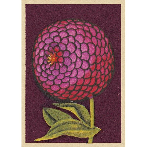Allure Greeting Card | The Jewellery Stop