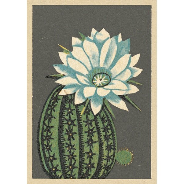 Elegance Greeting Card | The Jewellery Stop