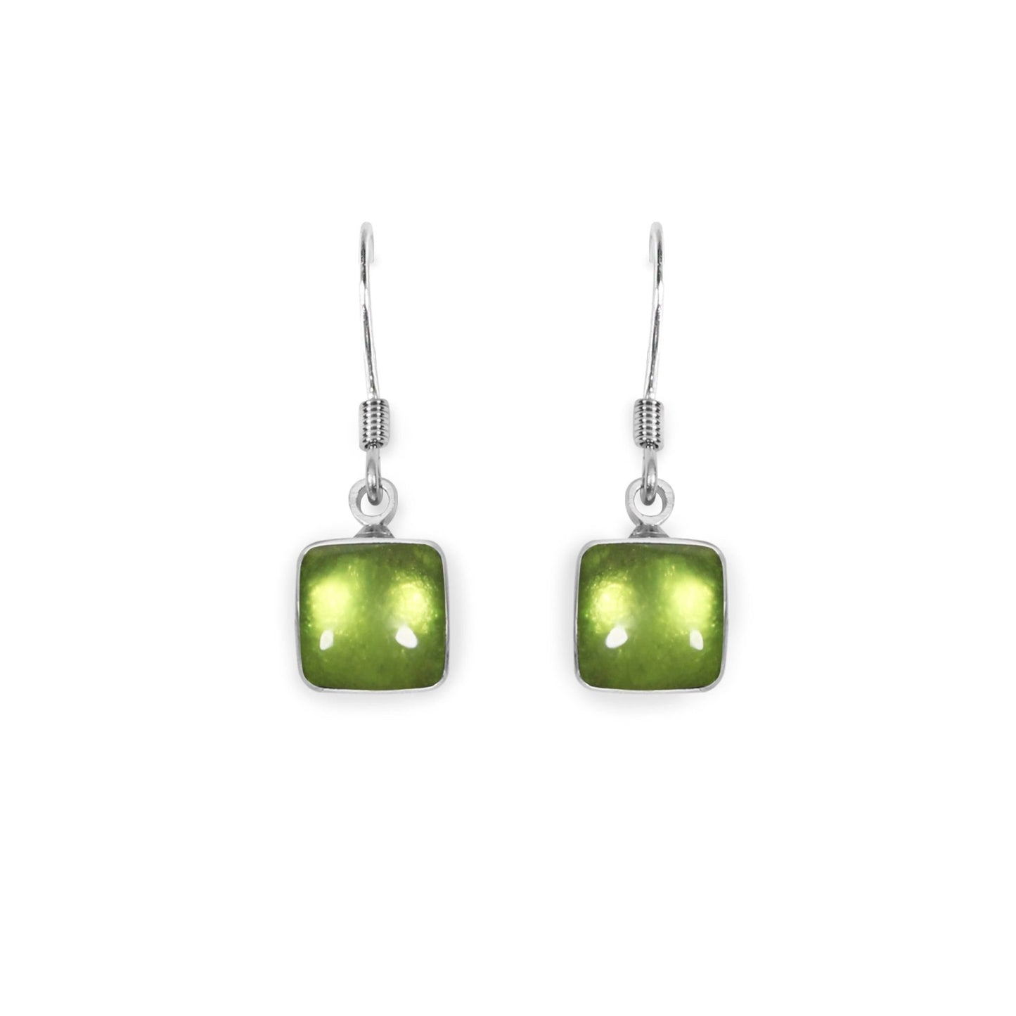 Kiwi Aluminium Squares Shiny Small Fish Hook Earrings | The Jewellery Stop