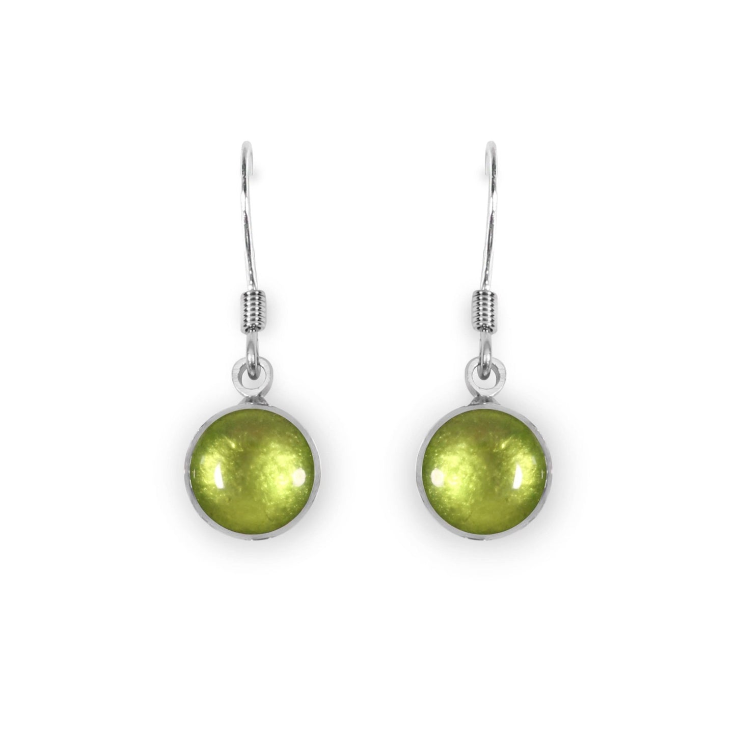 Kiwi Aluminium Circles Shiny Fish Hook Earrings | The Jewellery Stop