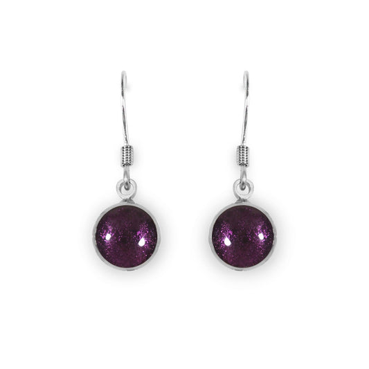Rainbow Aluminium Circles Shiny Fish Hook Earrings | The Jewellery Stop