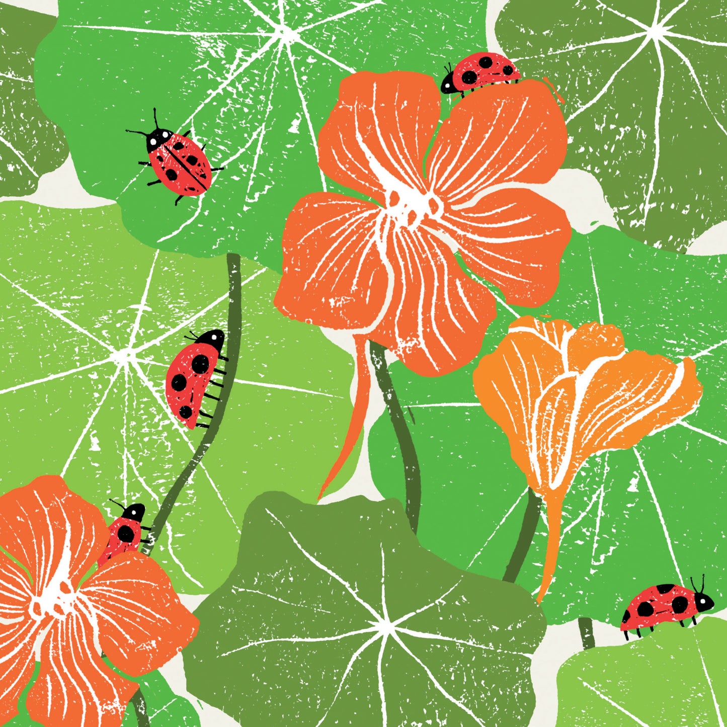 Nasturtium Hunt Greeting Card | The Jewellery Stop