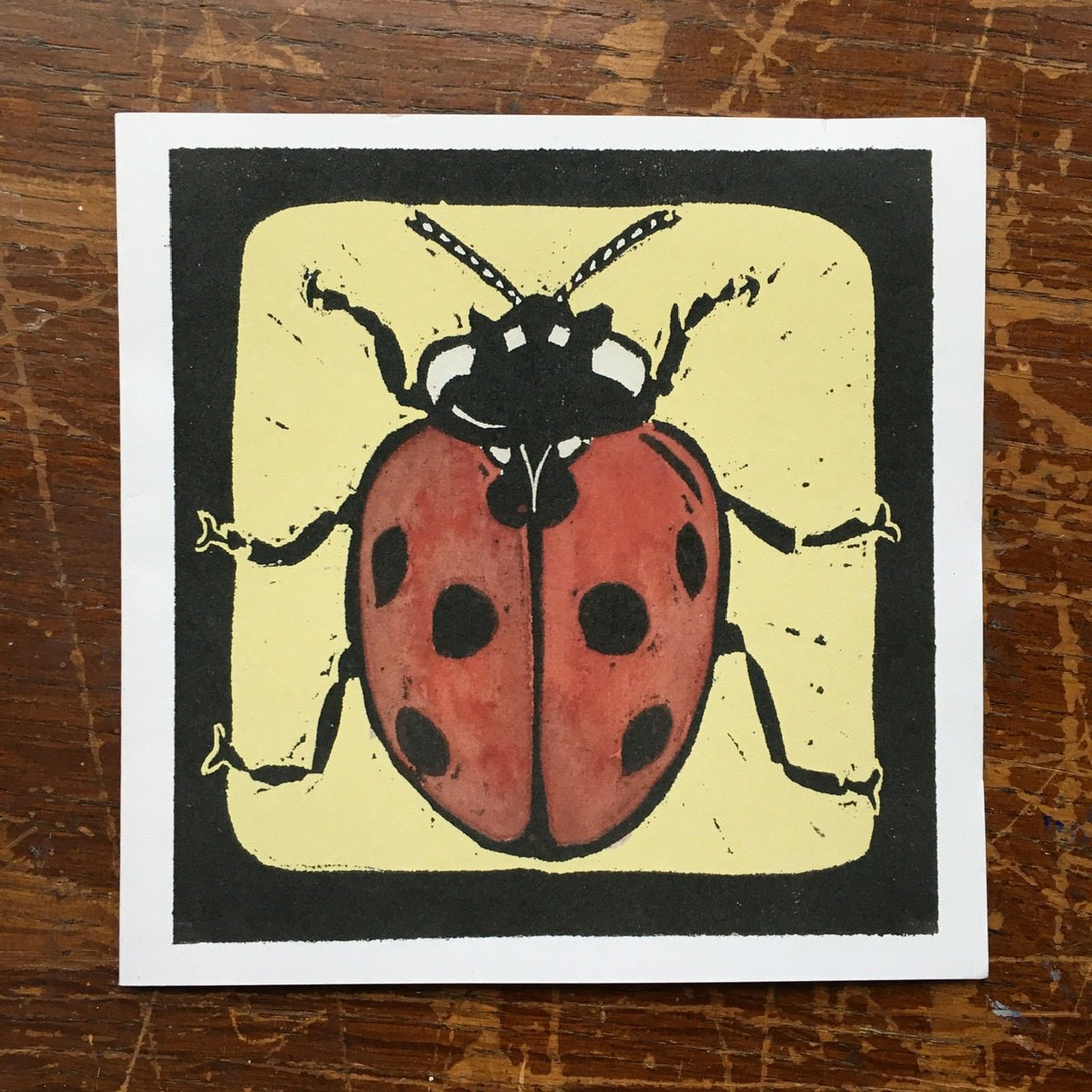 Lady Bird Greeting Card | The Jewellery Stop