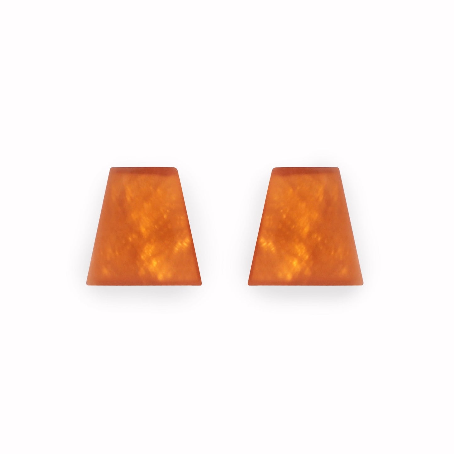Coral Shell Collar Matte Stud Earrings | The Jewellery Stop