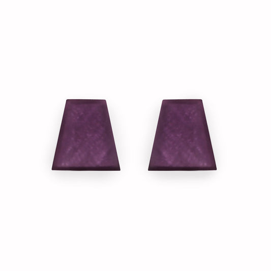Rainbow Shell Collar Matte Stud Earrings | The Jewellery Stop