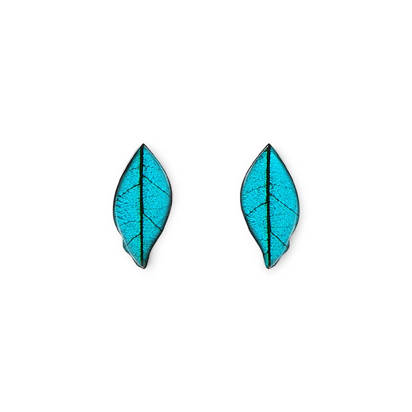 Teal Skeletal Leaf Shiny Stud Earrings | The Jewellery Stop