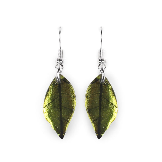 Citrus Skeletal Leaf Shiny Fish Hook Earrings | The Jewellery Stop