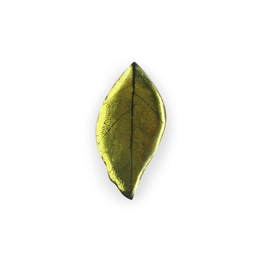 Citrus Skeletal Leaf Shiny Brooch