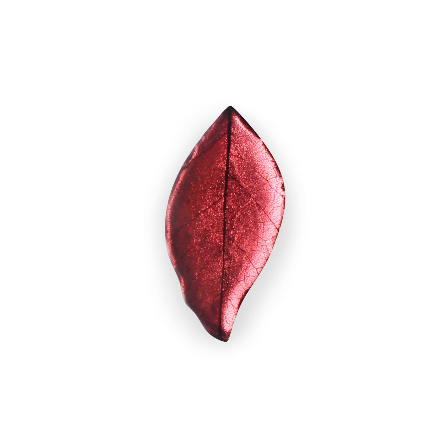 Coral Skeletal Leaf Shiny Brooch | The Jewellery Stop