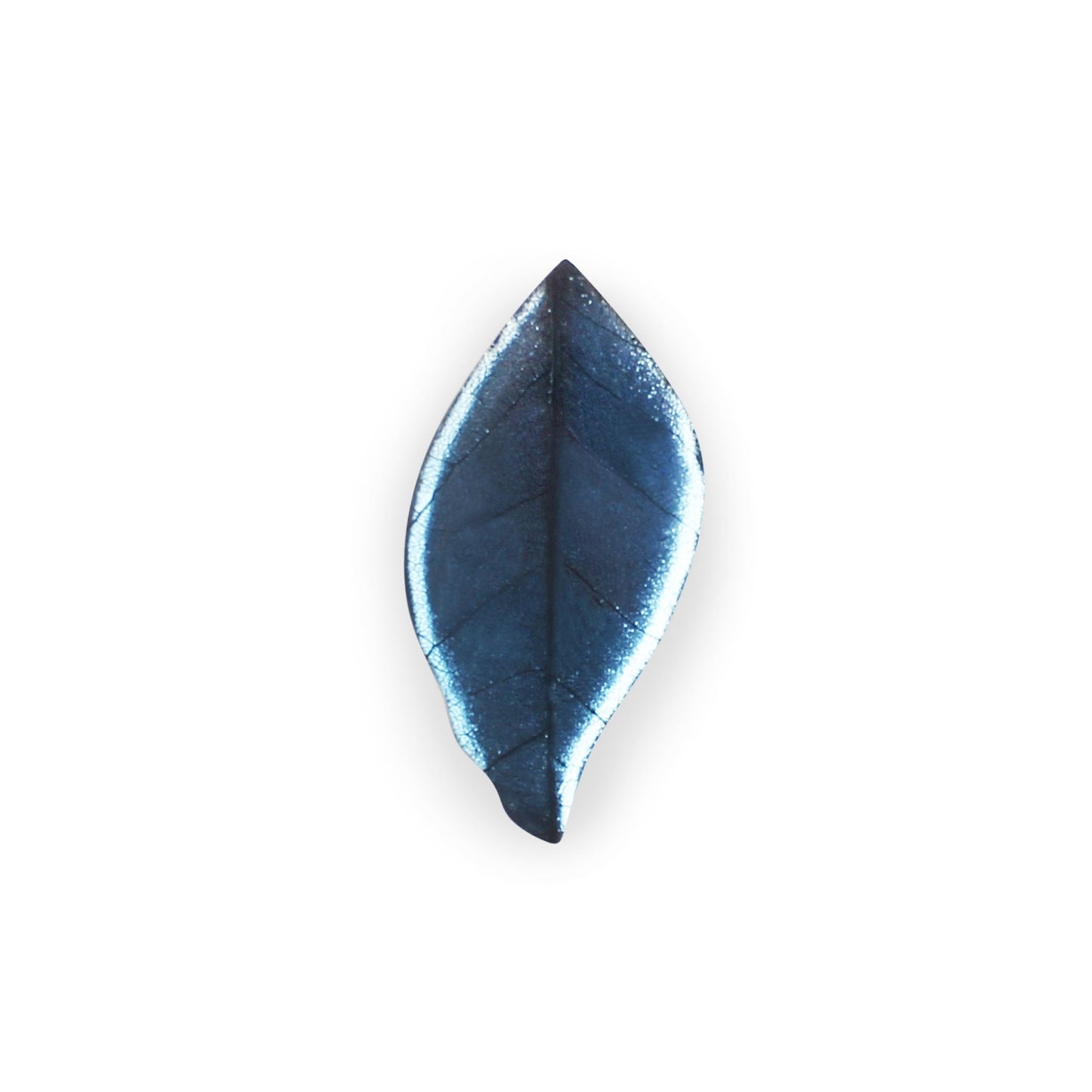 Fjord Skeletal Leaf Shiny Brooch | The Jewellery Stop