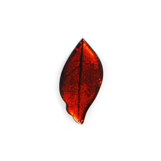 Orange Skeletal Leaf Shiny Brooch