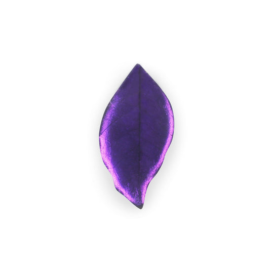 Peacock Skeletal Leaf Shiny Brooch | The Jewellery Stop