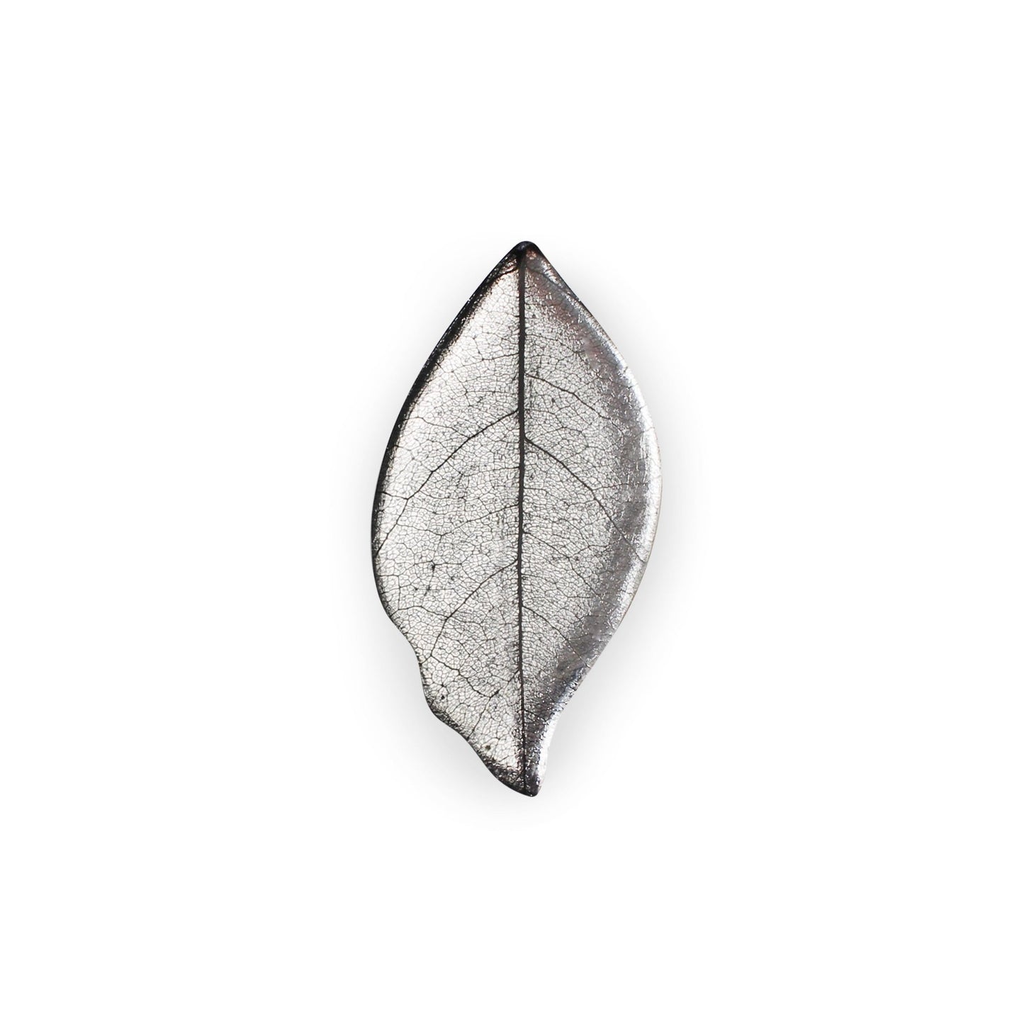 Silver Skeletal Leaf Shiny Brooch | The Jewellery Stop