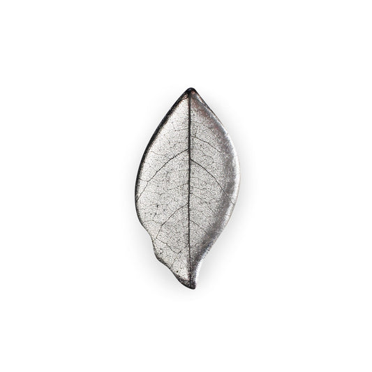 Silver Skeletal Leaf Shiny Brooch | The Jewellery Stop