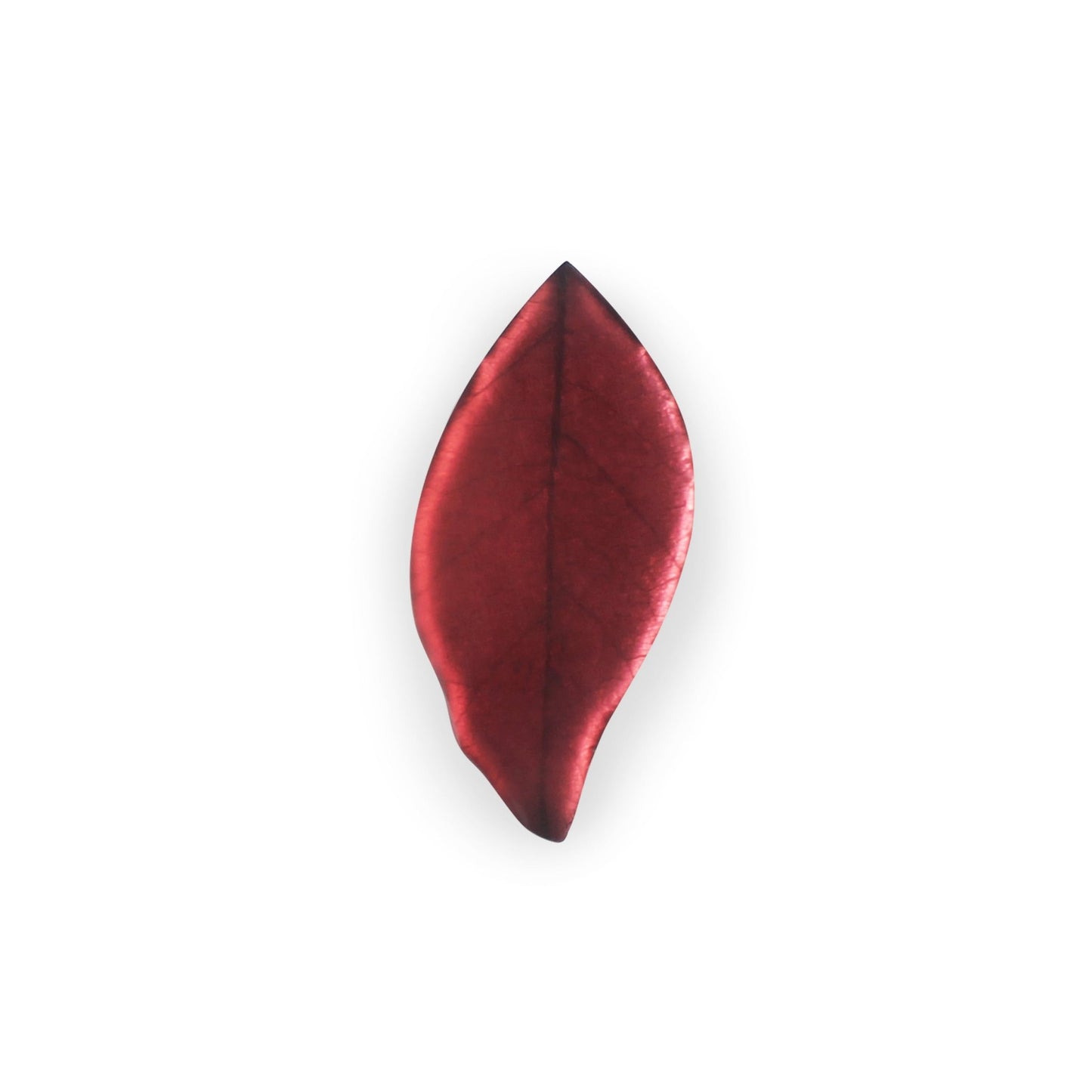 Coral Skeletal Leaf Matte Brooch | The Jewellery Stop