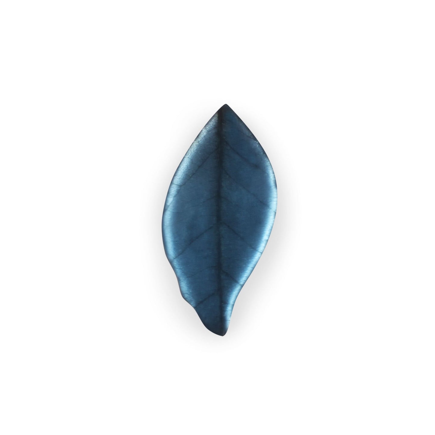 Fjord Skeletal Leaf Matte Brooch | The Jewellery Stop
