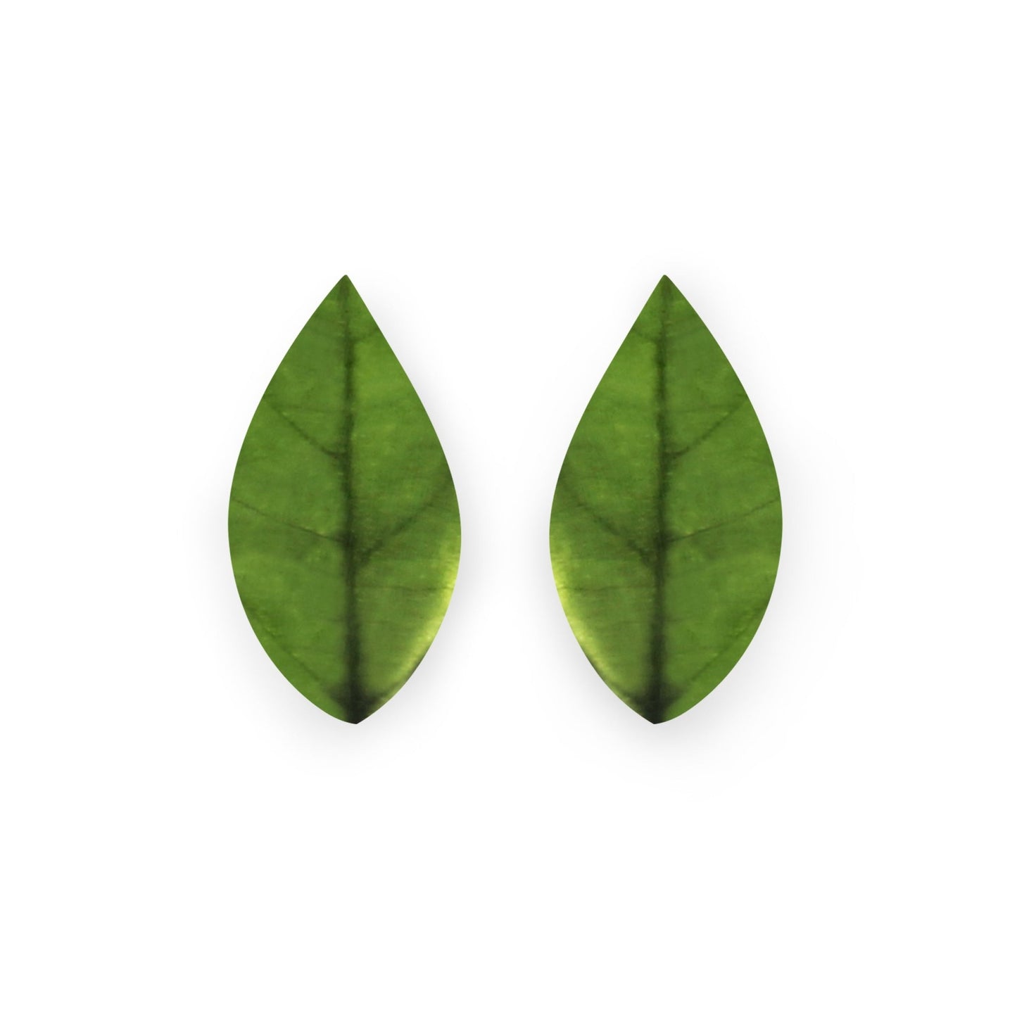 Orchard Skeletal Leaf Matte Clip Earrings | The Jewellery Stop