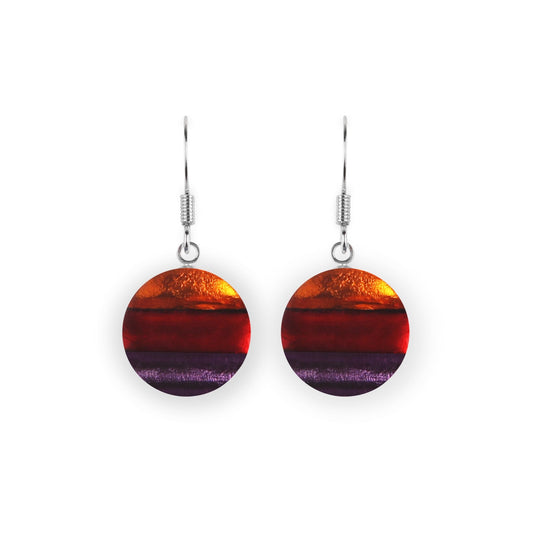 Rainbow Geometric Circles Shiny Fish Hook Earrings | The Jewellery Stop