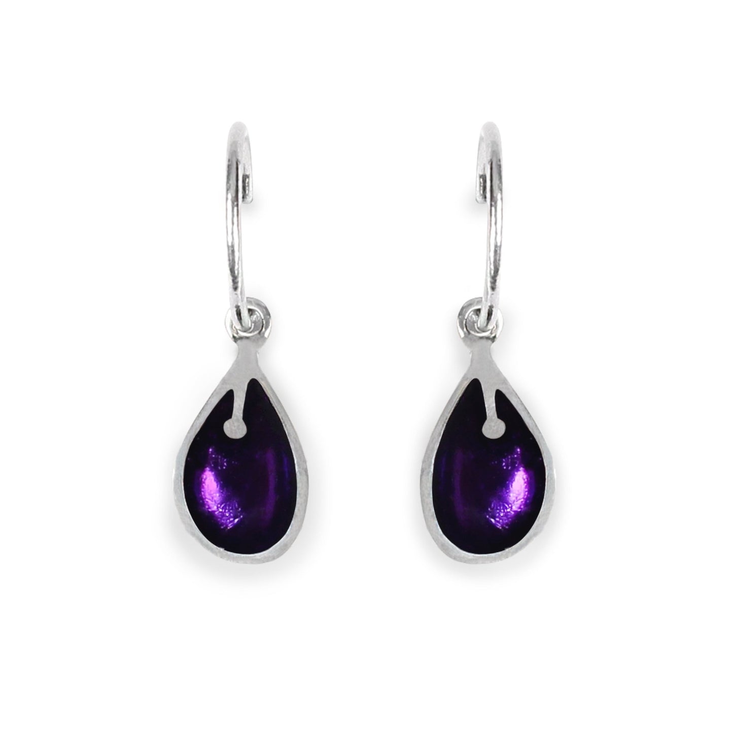 Peacock Calachuchi Shiny Creole Earrings | The Jewellery Stop
