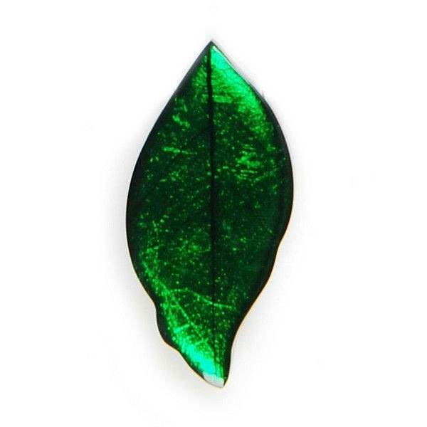 Green Skeletal Leaf Brooch | The Jewellery Stop