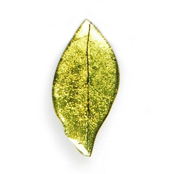 Lime Skeletal Leaf Brooch | The Jewellery Stop