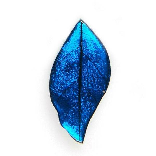 Turquoise Skeletal Leaf Brooch | The Jewellery Stop