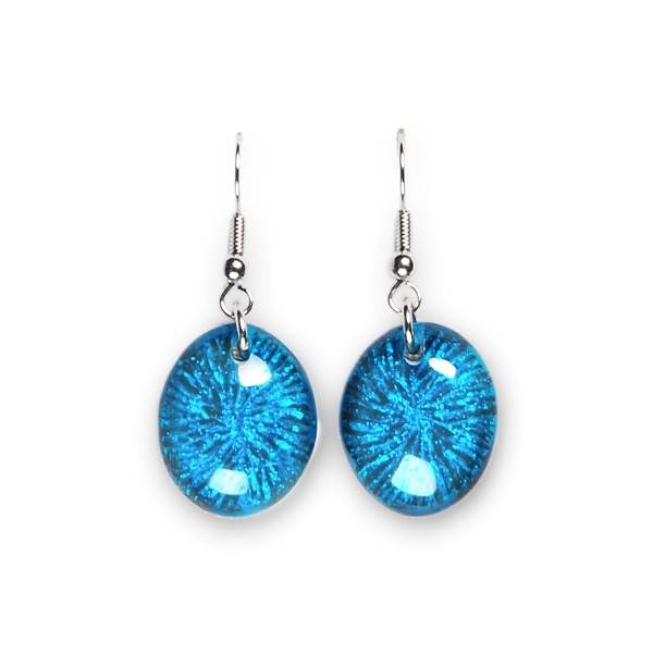 Turquoise Fireworks Fish Hook Earrings | The Jewellery Stop