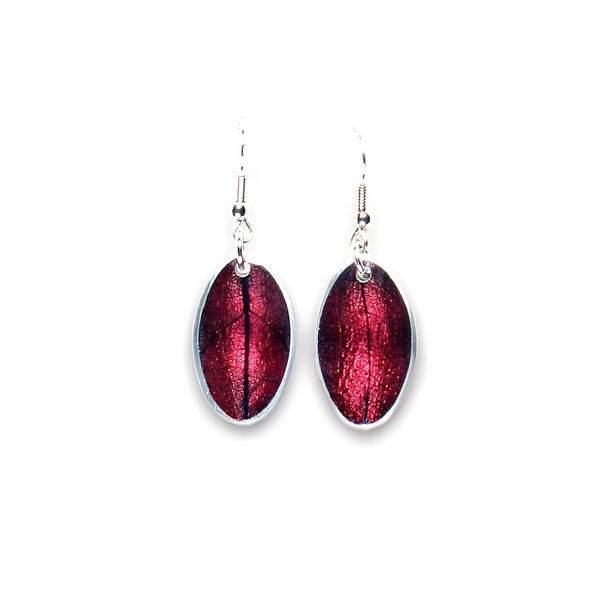 Pink Leaf on Coco Fish Hook Earrings | The Jewellery Stop