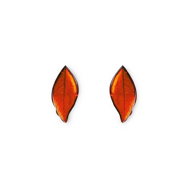 Orange Skeletal Leaf Stud Earrings | The Jewellery Stop