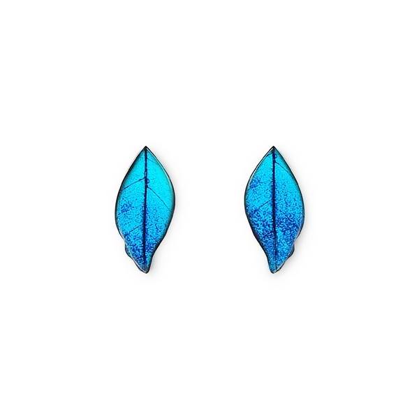 Turquoise Skeletal Leaf Stud Earrings | The Jewellery Stop
