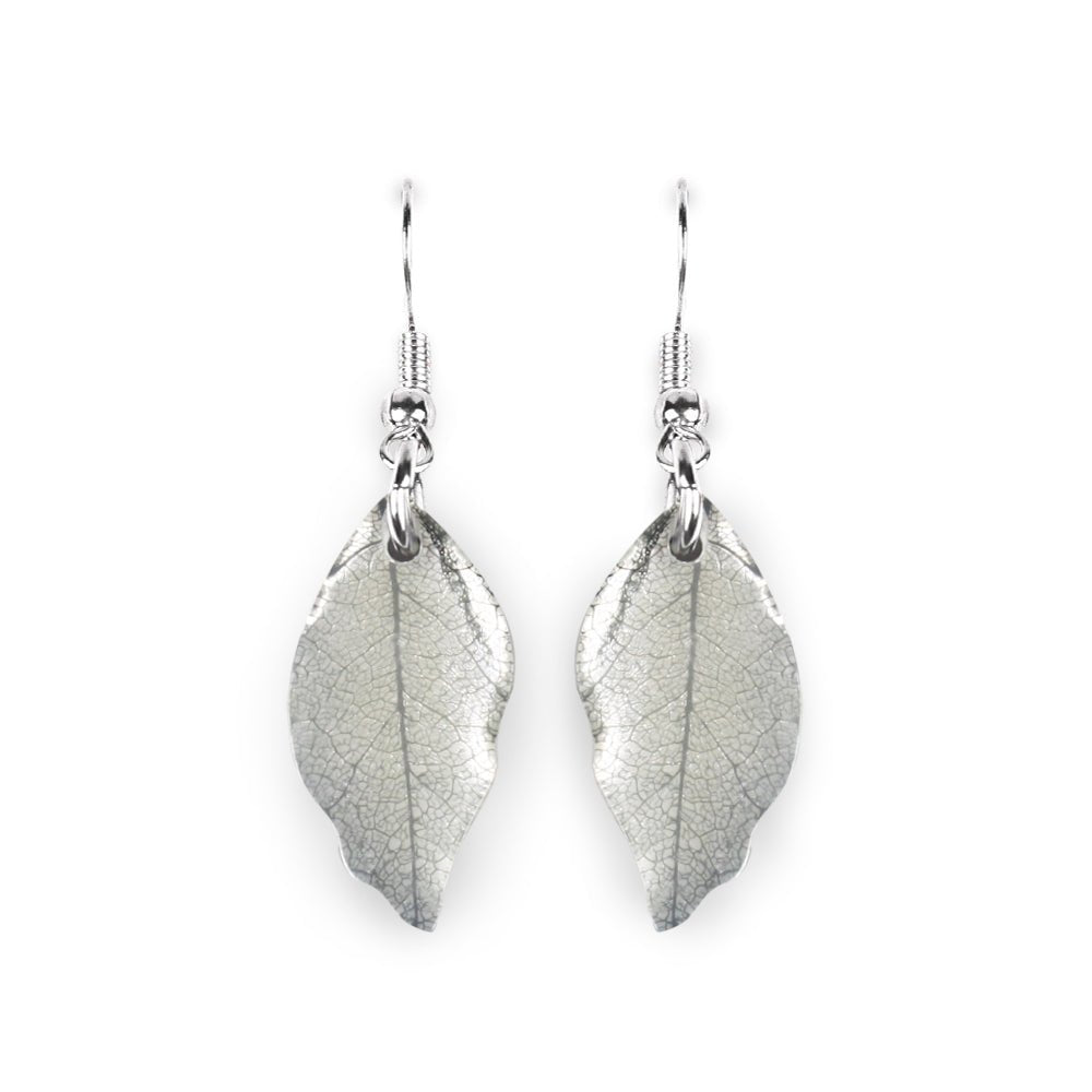 Silhouette Skeletal Leaf Combi Fish Hook Earrings | The Jewellery Stop