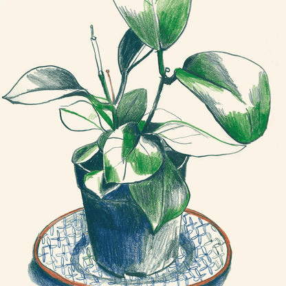 Shiny Leaves Hannah Pontin Greeting Card | The Jewellery Stop