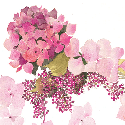 Pink hydrangea Jane Ormes Greeting Card | The Jewellery Stop