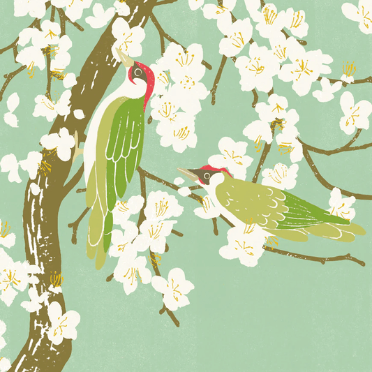 Perch Liza Saunders Greeting Card | The Jewellery Stop