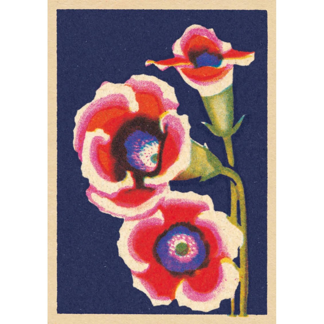 Blush Vintage Matchbox Greeting Card | The Jewellery Stop
