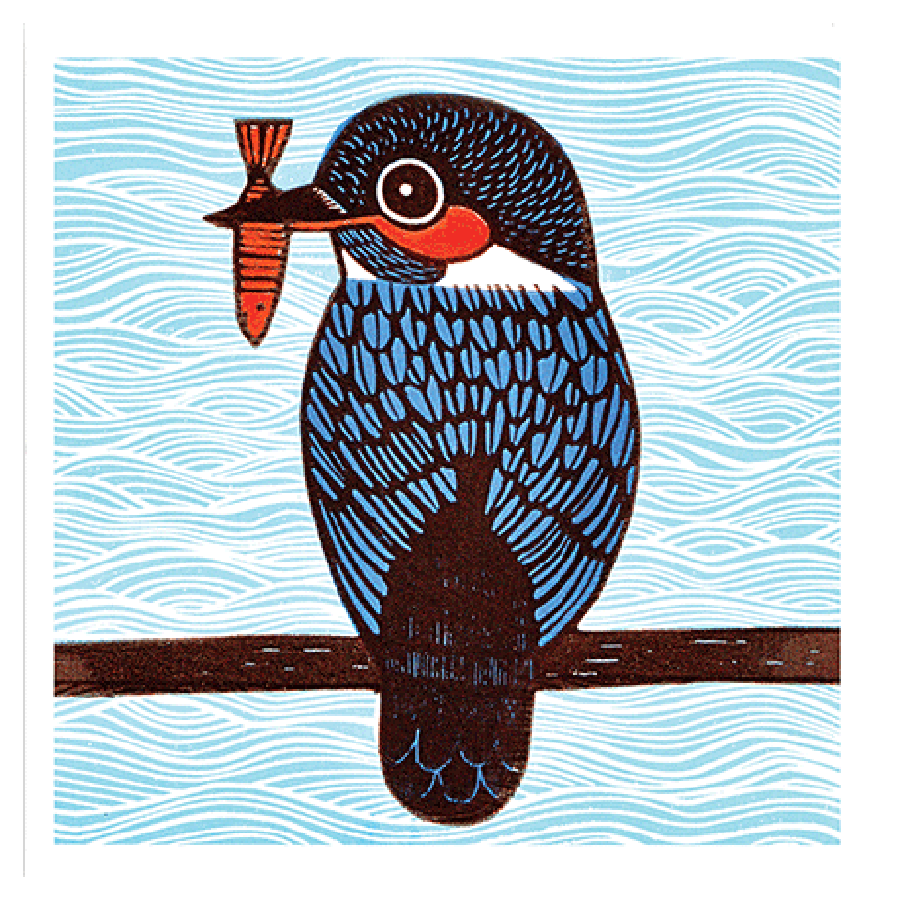 Kingfisher Art Greeting Card | The Jewellery Stop