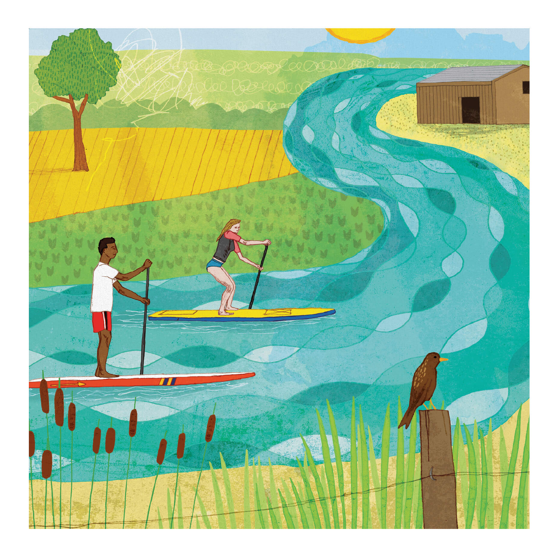 Paddle Boarders Greeting Card