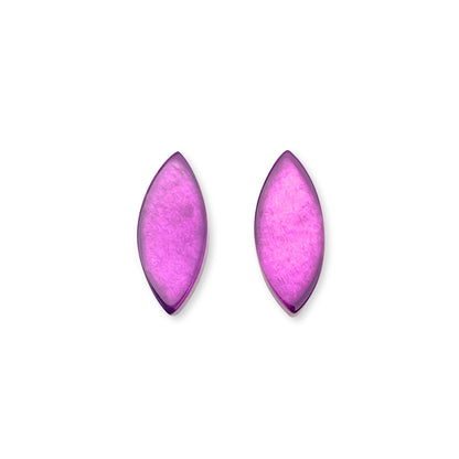 Rainbow Petal Shiny Stud Earrings